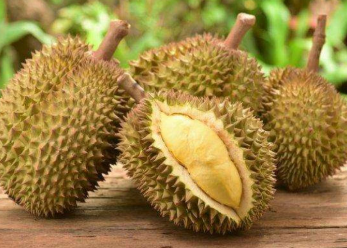 Durian Meningkatkan Kolesterol? Inilah Fakta Durian dan Kolesterol