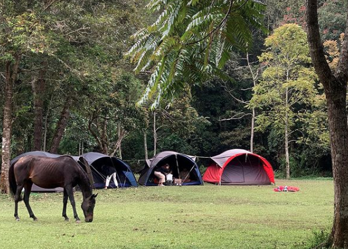 Keseruan Piknik di Jungle Milk Jayagiri Tempat Wisata Alam Lembang Bandung
