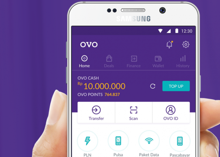 Senangnya Ada Promo Saldo OVO Gratis Hari Ini, Yuk Check Out Belanja di Merchant Partner OVO Ini