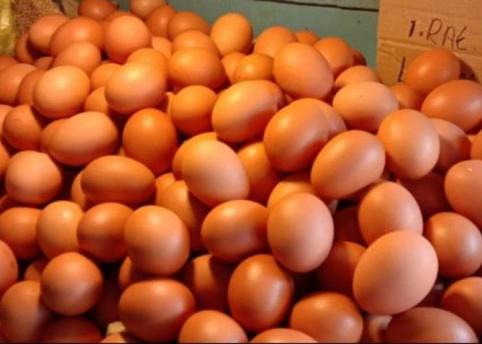 Inilah 6 Dampak Buruk Terlalu Banyak Mengkonsumsi Telur Ayam