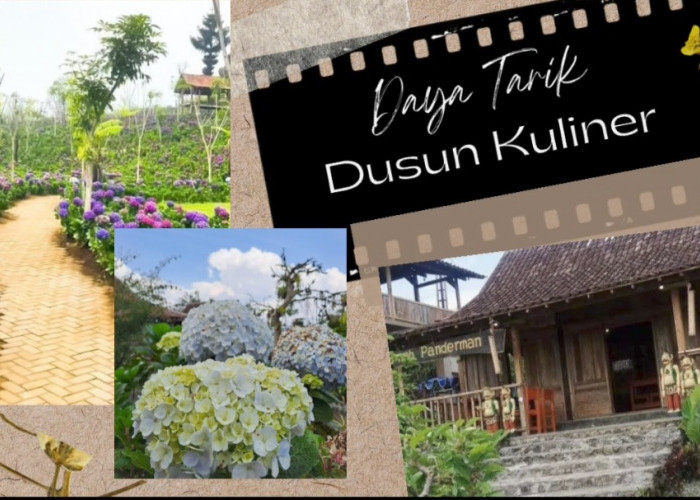 Daya Tarik Wisata Dusun Kuliner Kota Batu, Ada Padang Bunga Hortensia