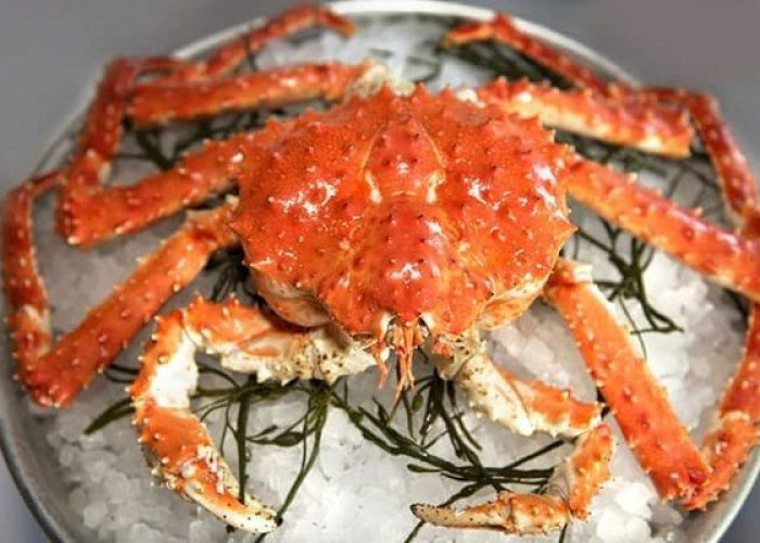 Harga Kepiting Alaska Mengapa Sangat Mahal? Ternyata ini 5 Alasannya