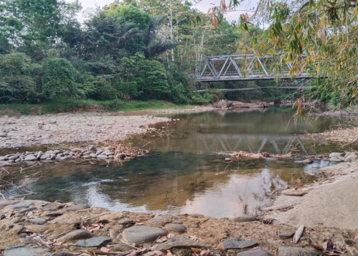 Dampak Kemarau Panjang, Debit Air Sungai Cimandala Pangandaran Terus Menurun