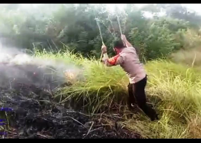 Aksi Heroik Kapolsek Terperosok Saat Padamkan Api di Lahan Kawasan Gronggong