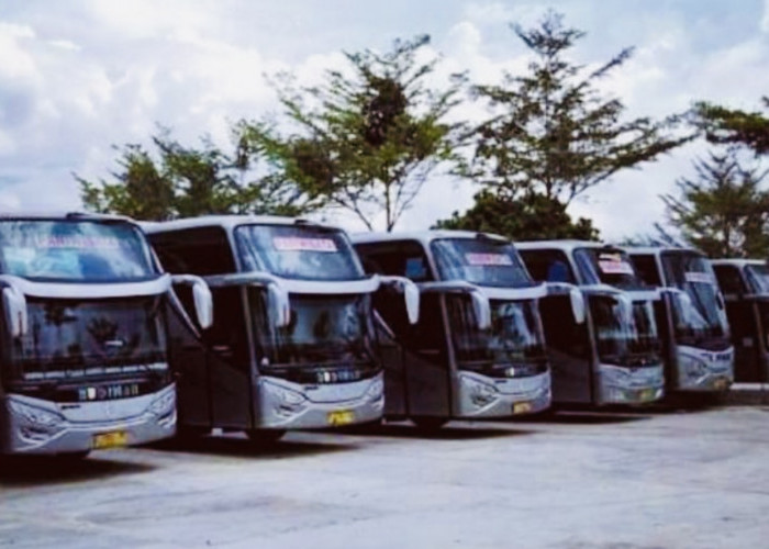 Bus yang Dijuluk ‘Raja Jalanan’ Ini Ternyata Punya Armada Pariwisata, Jumlahnya Puluhan Unit Bisa Kita Sewa  