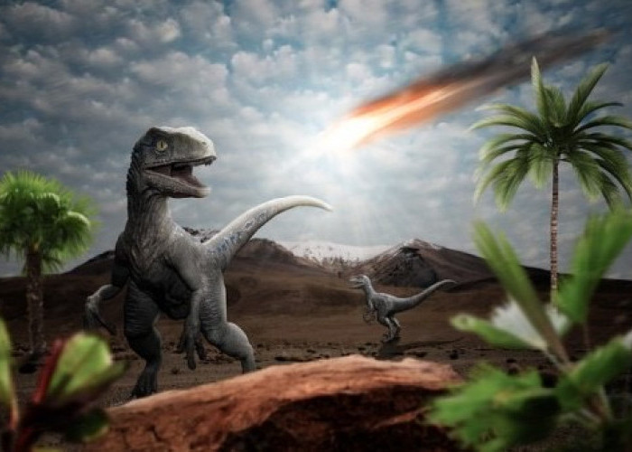 Kecoa versus Dinosaurus, Mana yang Lebih Kuat Saat Menghadapi Benda Langit ? Ini Jawabannya.