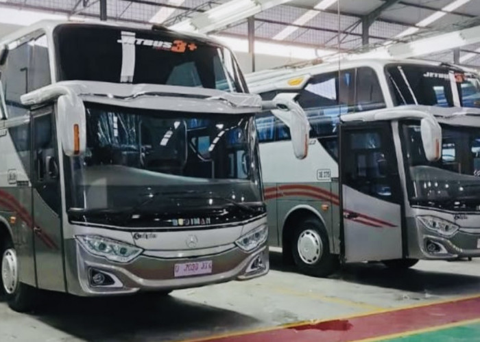 Ohhh Ini Jenis-Jenis Bus di Indonesia, Perusahaan Bus dari Tasik Pakai yang Mana Ya?