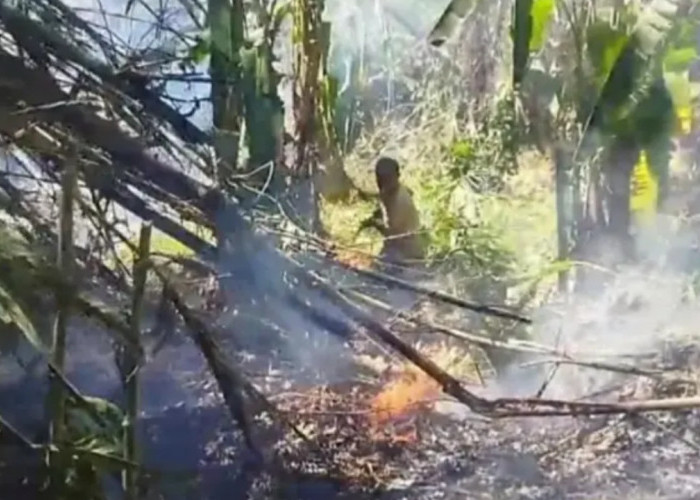 Dua Lahan di Kota Banjar Terbakar, Petugas Damkar Kesulitan Capai Titik Api
