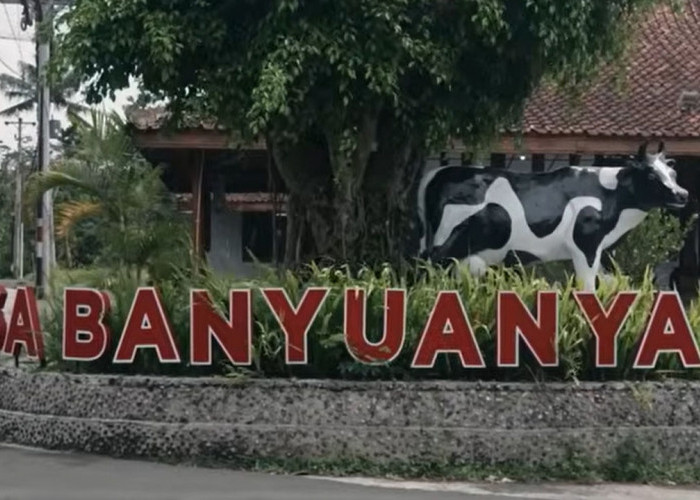 Intip Kisah Desa Banyuanyar, Desa Ramah Lingkungan yang Terus Maju Lewat Pemberdayaan Desa BRILiaN