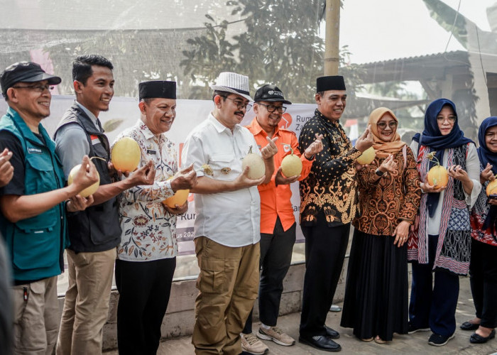 Desa Kertajaya Kabupaten Ciamis Raih Kesuksesan Panen 500 Melon Berkat Dukungan Rumah Zakat