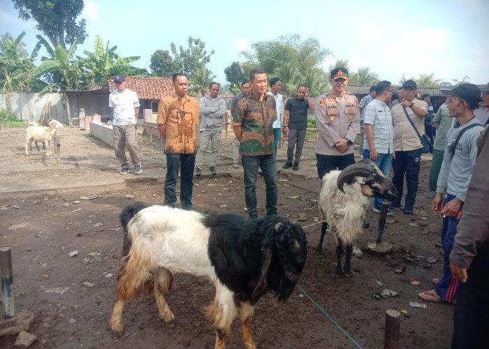 Polisi Sidak Pasar Hewan Singaparna Kabupaten Tasikmalaya, Pastikan Hewan Kurban Layak Dikonsumsi dan Sehat 