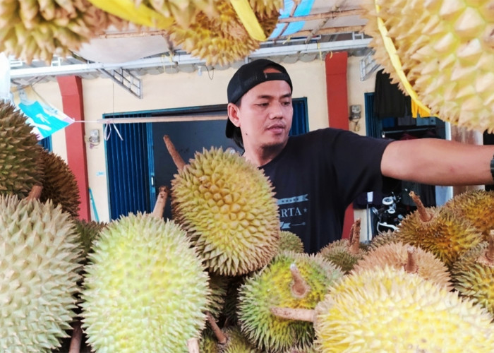 Nah, Berapa Harga Durian Lokal Tasikmalaya Per Butir di Pinggir Jalan? Paling Murah Seharga 1 Mangkok Bakso