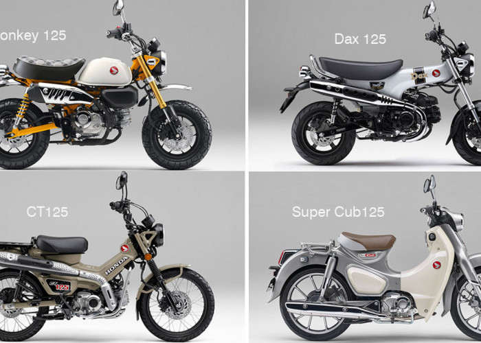 Honda Bersiap Luncurkan Warna Baru Monkey 125, Dax 125, CT125, Super Cub C125, hingga X-ADV