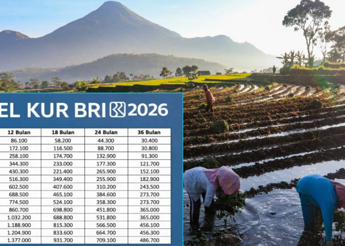 KUR BRI Aliri Sawah Rakyat, Cek Tabel Angsuran Per Bulan
