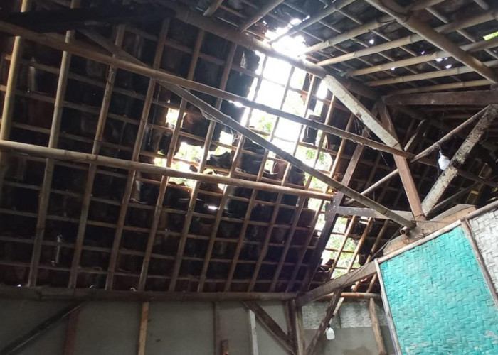 Rumah Warga di Kota Banjar Tertimpa Pohon Tumbang, Awalnya Dikira Gempa