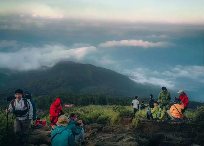 Pendaki Harus Tahu, Inilah 5 Gunung di Jawa Barat yang Viral di Kalangan Pendaki, Nomor 2 Ada di Garut