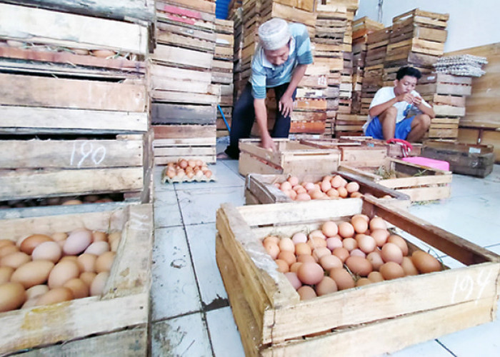 Harga Cabai dan Telur di Kota Banjar Belum Stabil