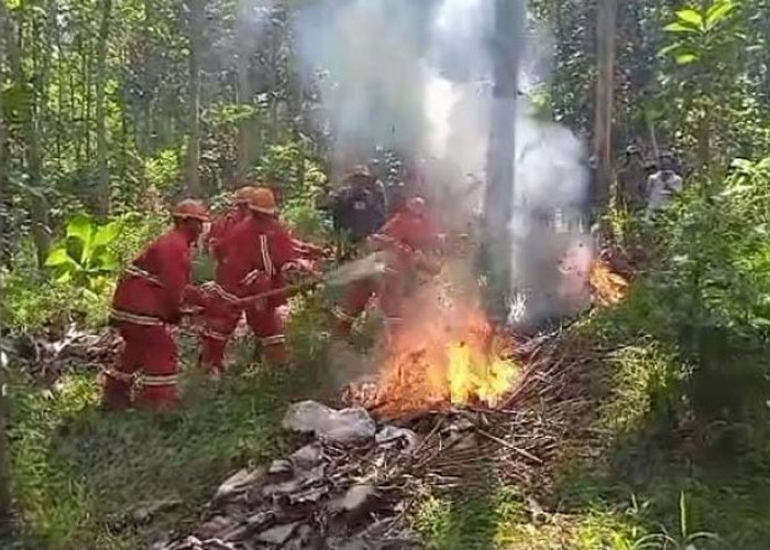 Tim Gabungan Sukses Padamkan Api di Gunung Babakan Kota Banjar