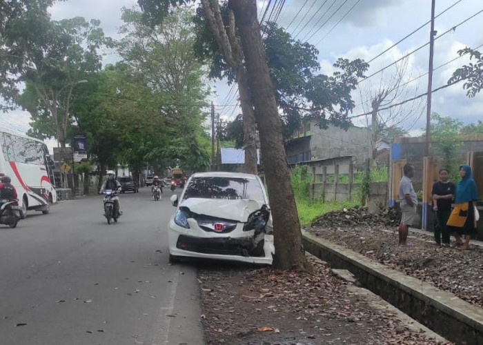 Mobil Brio Warga Sodong Hilir Seruduk Pohon di Jalan Djuanda Kota Tasik, Sopir Diduga Kurang Kosentrasi
