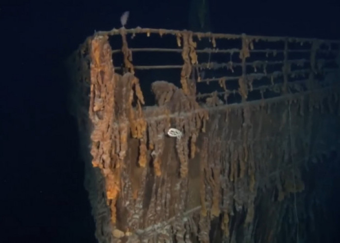 Astaga! Banyak Hewan Laut Menyeramkan Menghuni Bangkai Kapal Titanic, Salah Satunya Dijamin Bikin Anda Syok
