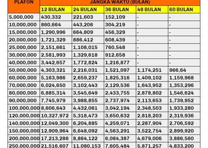 Syaratnya Hanya KTP! KUR Mandiri 2025 Segera di Buka Cair Sampai Rp100 Juta 