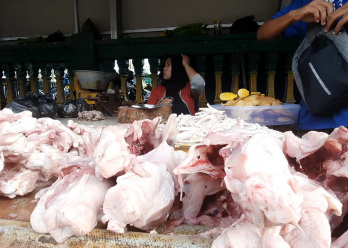 Jelang Ramadan, Harga Daging Ayam dan Telur di Tasikmalaya Mulai Merangkak Naik
