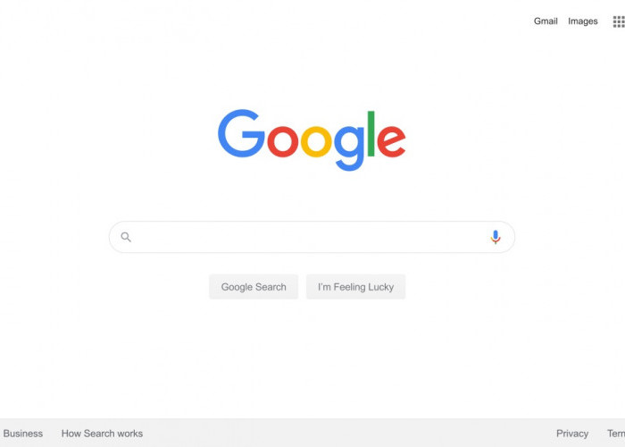 Google Berikan Informasi Kebocoran Data untuk Perlindungan Pribadi