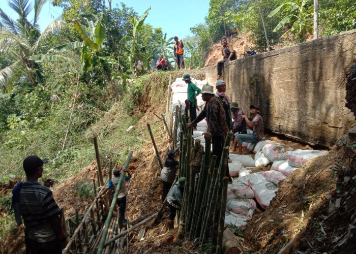 300 Hektare Sawah Terancam Kekeringan, Warga Tasikmalaya Gotong Royong Perbaiki Irigasi