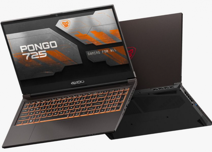 Axioo Pongo 725 Laptop Under 10Jt Untuk Gamer dan Content Creator