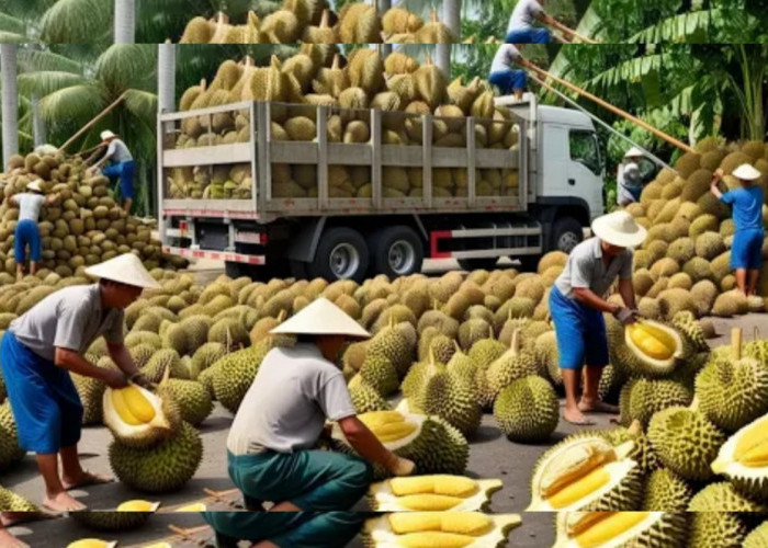 Wah, Ini Sih Juara! Petani Thailand Hasilkan Jutaan Durian Montong Pertahun, Begini Rahasianya!