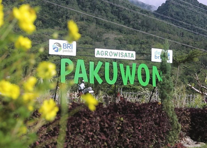 Lewat Program Desa BRILiaN, Pajambon, Kuningan Jadi Contoh Transformasi Ekonomi Desa Berbasis Potensi Lokal