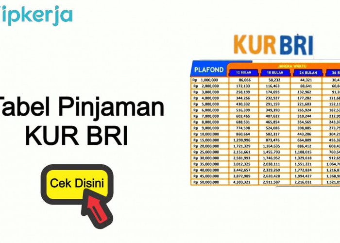 Bunga Rendah, Pinjaman KUR BRI Kian Diminati, Agus Ingin Buka Pangkalan Gas 