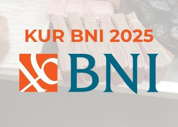 Tabel KUR BNI 2025: Pinjaman Rp 50 Juta dengan Cicilan Ringan untuk UMKM Baru