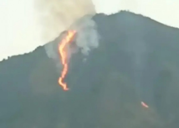 Asap Tebal Muncul di Gunung Guntur, Tim Gabungan Berhasil Tekan Penyebaran Kebakaran Lahan