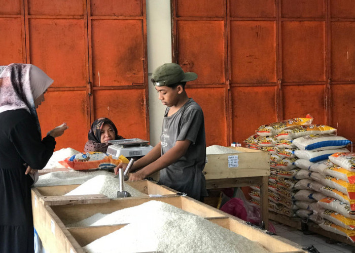 Harga Beras di Kota Tasikmalaya Semakin Naik, HET Terbaru Bikin Untung untuk Pedagang 