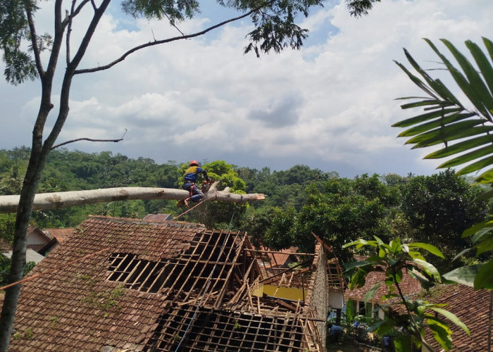 Sejak Awal Tahun 2025, 40 Bencana Melanda Kabupaten Tasikmalaya, Salah Satunya Pergerakan Tanah di Cineam