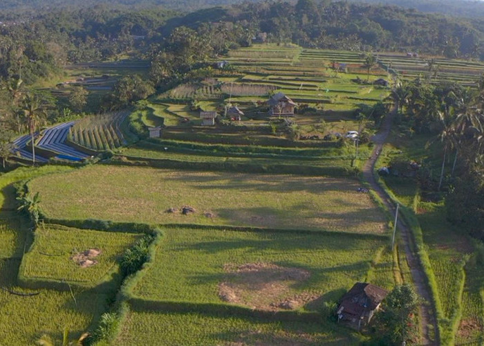 Mengenal Desa Angseri, Desa BRILiaN dengan Tata Kelola Terbaik