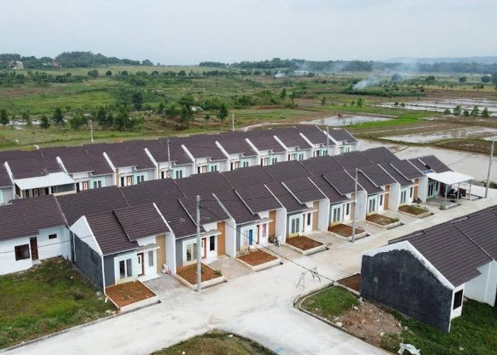 Konsisten Dukung Program Tiga Juta Rumah, BRI Salurkan KPR Subsidi Rp 16,16 Triliun kepada 118 Ribu Debitur