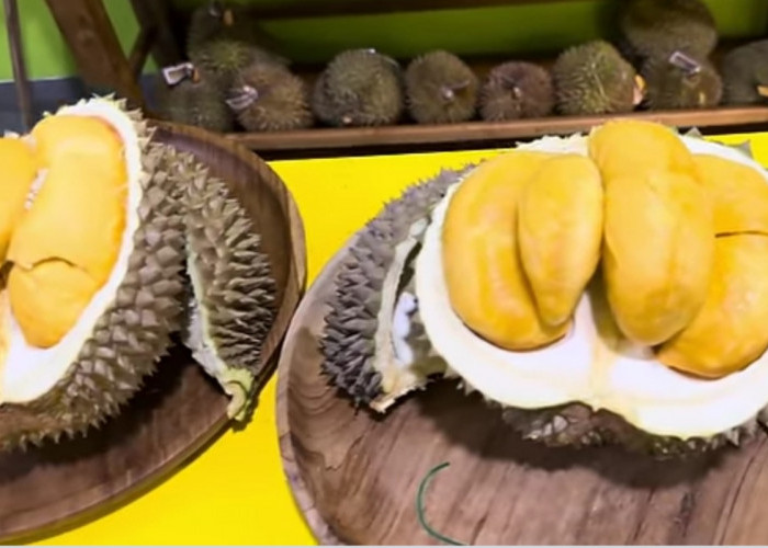 Ini yang Membedakan Durian Duri Hitam dan Musang King, Kamu Suka Yang Mana? 