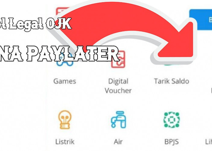 DANA Paylater Pinjaman Online Tanpa KTP Cair Hingga Rp 10 Juta yang Terdaftar di OJK
