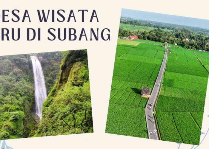 Jelajahi 7 Desa Wisata Baru di Subang 2026, Dari Sawah Asri hingga Pemandian Air Panas