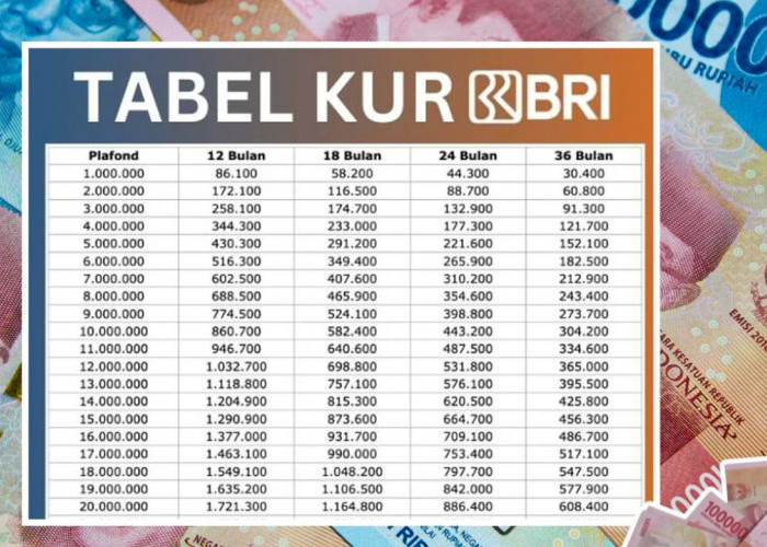 Butuh Modal Usaha Mulai Rp 10 Juta Tanpa Ribet, Cicilan 60 Bulan, Ajukan Pinjaman KUR BRI 2025