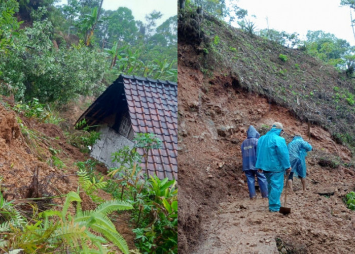 Longsor di Tasikmalaya: Dua Rumah Rusak, Satu Terancam, dan Akses Jalan Terputus