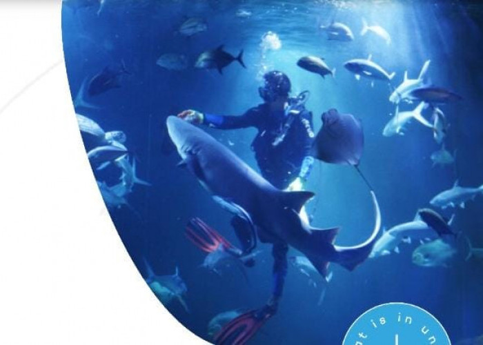 Cara Pesan Tiket Aquarium Indonesia Pangandaran, Bisa Booking dari Sekarang untuk Lebaran 2024, Kuy Simak!
