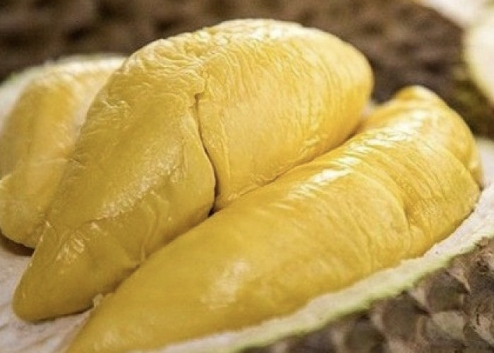 Kenapa Harga 1 Kg Durian Musang King 2024 Masih di Bawah Durian Duri Hitam? Padahal Setara Makan Bakso 1 Bulan