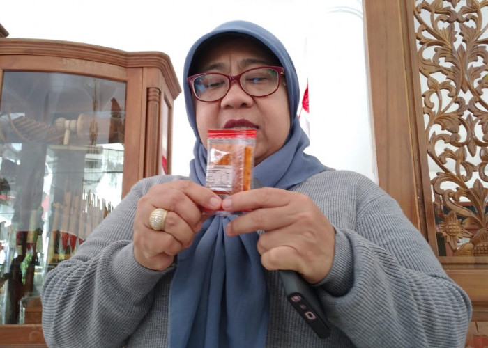 Imbas 51 Murid SD di Banjar Diduga Keracunan Makanan Ringan, Kata Penjabat Wali Kota ...