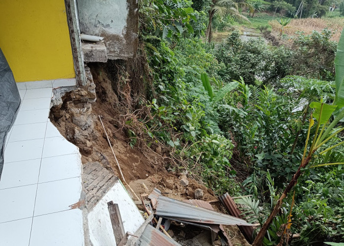 Belasan Rumah Rusak Akibat Longsor, Intensitas Hujan Tinggi di Kabupaten Bogor