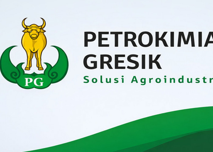 Fresh Graduate Wajib Daftar! Simak Syarat Hingga Jadwal Program Magang MAGENTA Petrokimia Gresik