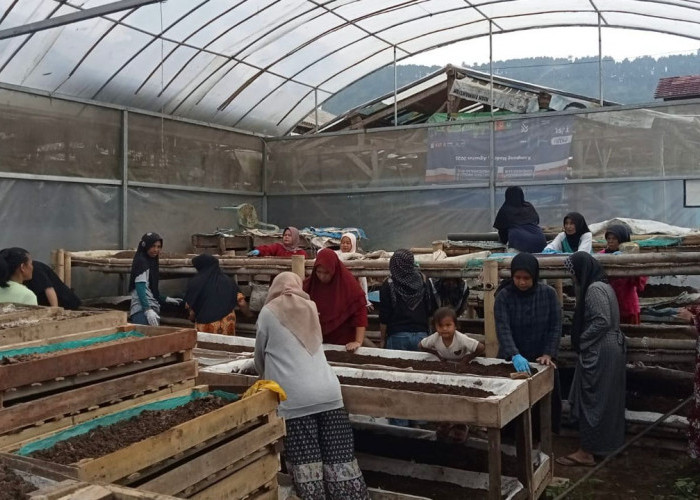 Perempuan Nasabah PNM Mekaar di Bandung Barat Kembangkan Usaha Lewat Sinergi Ultra Mikro BRI