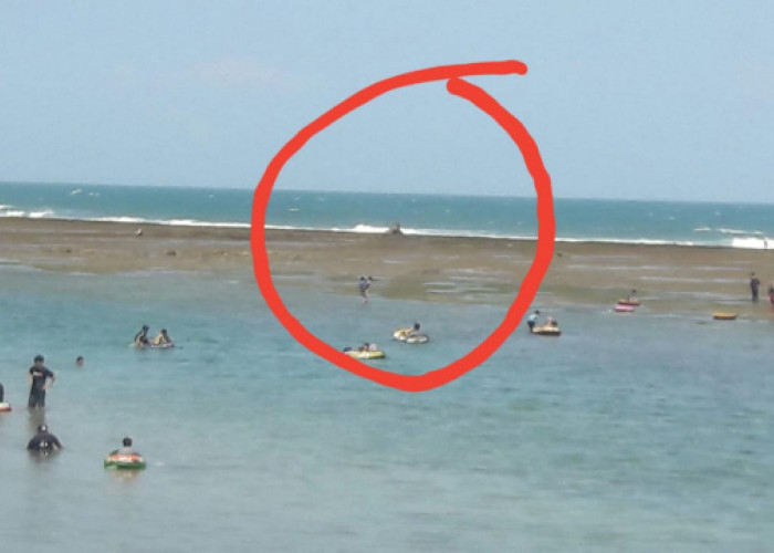 Ada Karang Nyungcung di Pantai Sindangkerta, Tasikmalaya. Cocok Jadi Spot Selfie